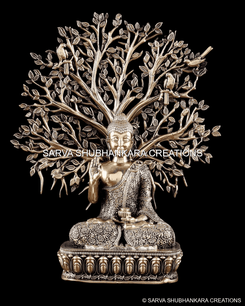 Buddha Kalpvriksha Meditation