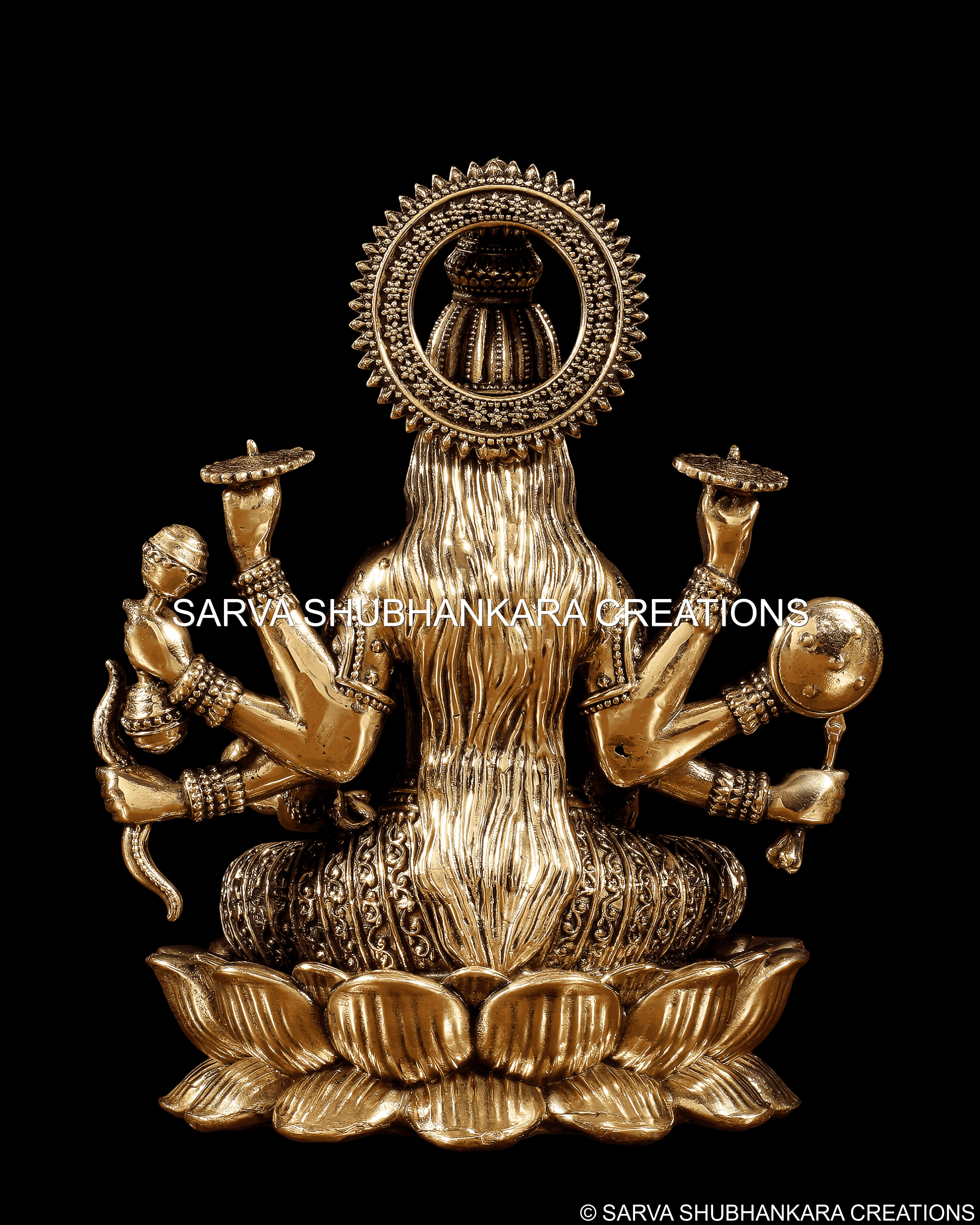 Vijay Lakshmi on Lotus