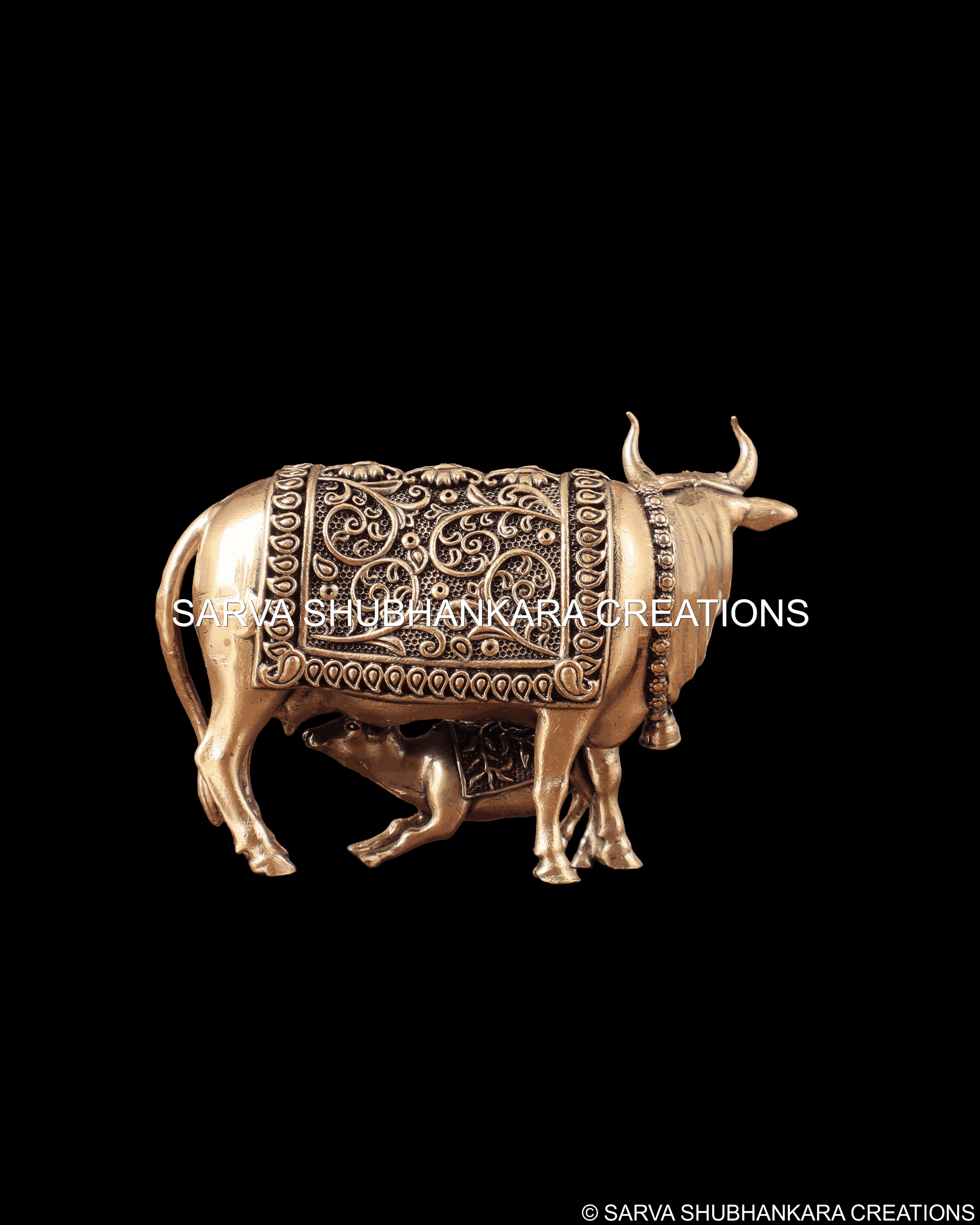 Sacred Cow Calf Blessing Bond